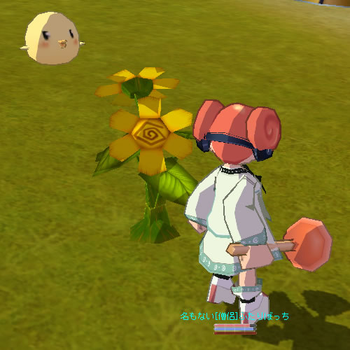 ひまわり ひまわり