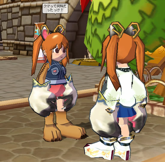 クマって何科だっけ？